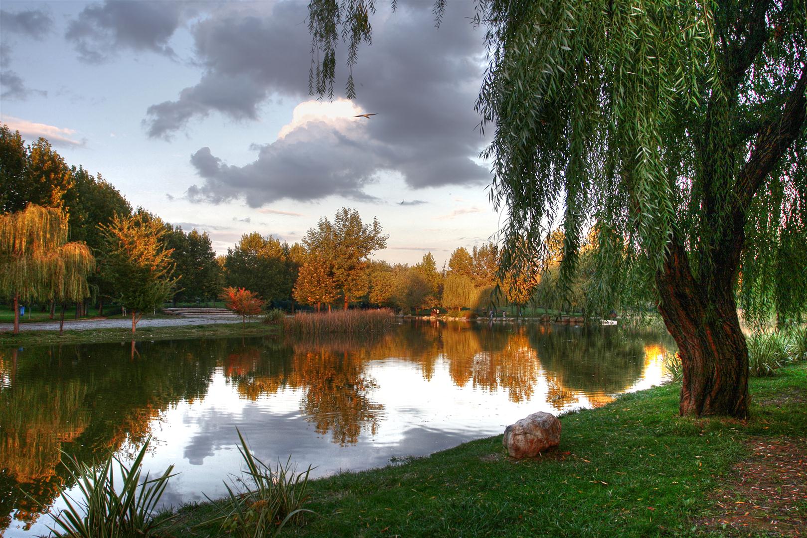 Botanik Park'ın manzarası muhteşem